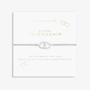 A Little 'Friendship' Bracelet