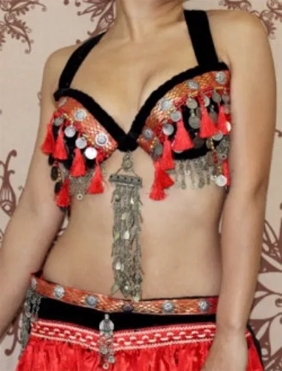 Aishwarya bra belt set red WS