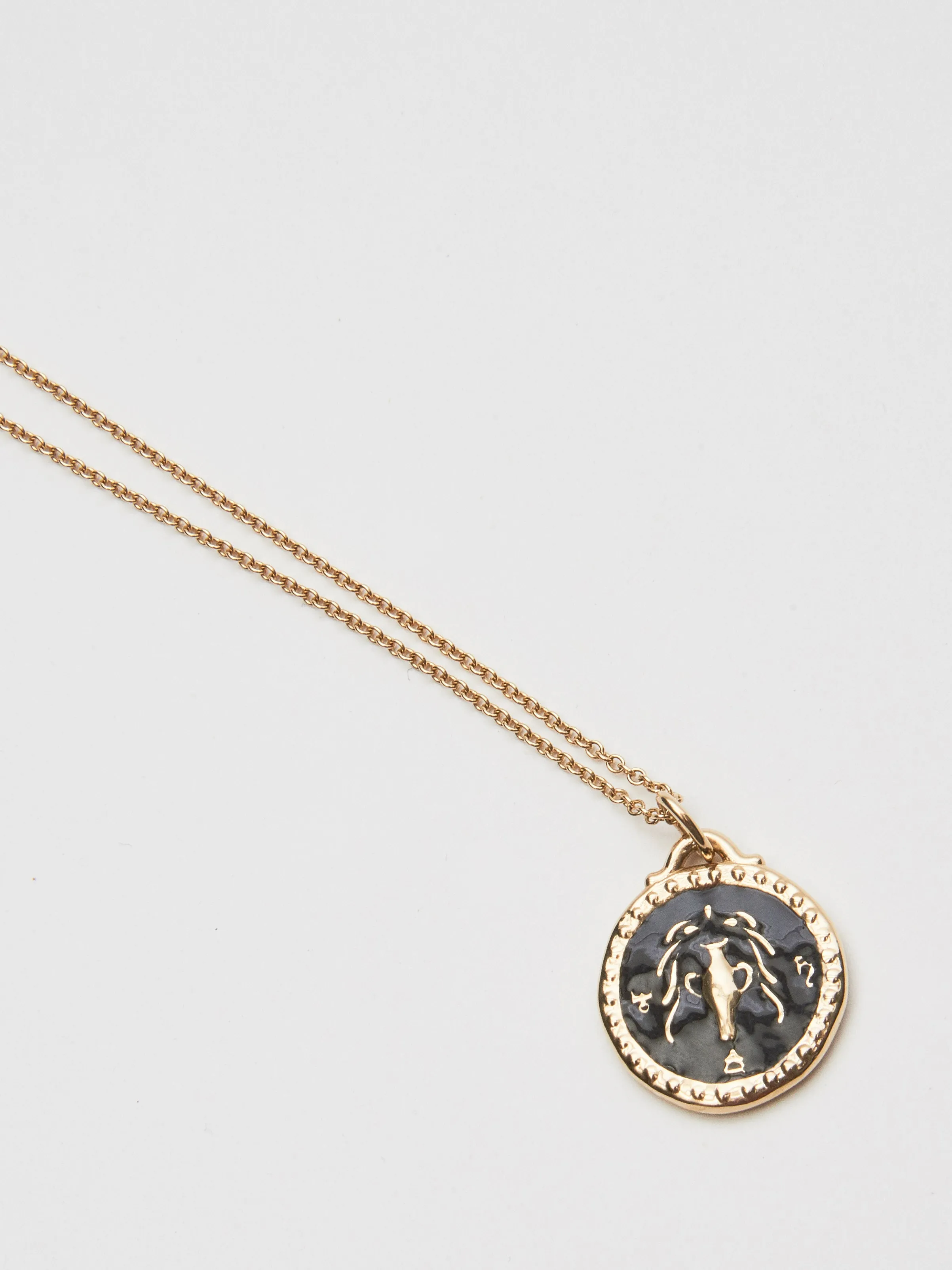 Aquarius Pendant - Black Enamel
