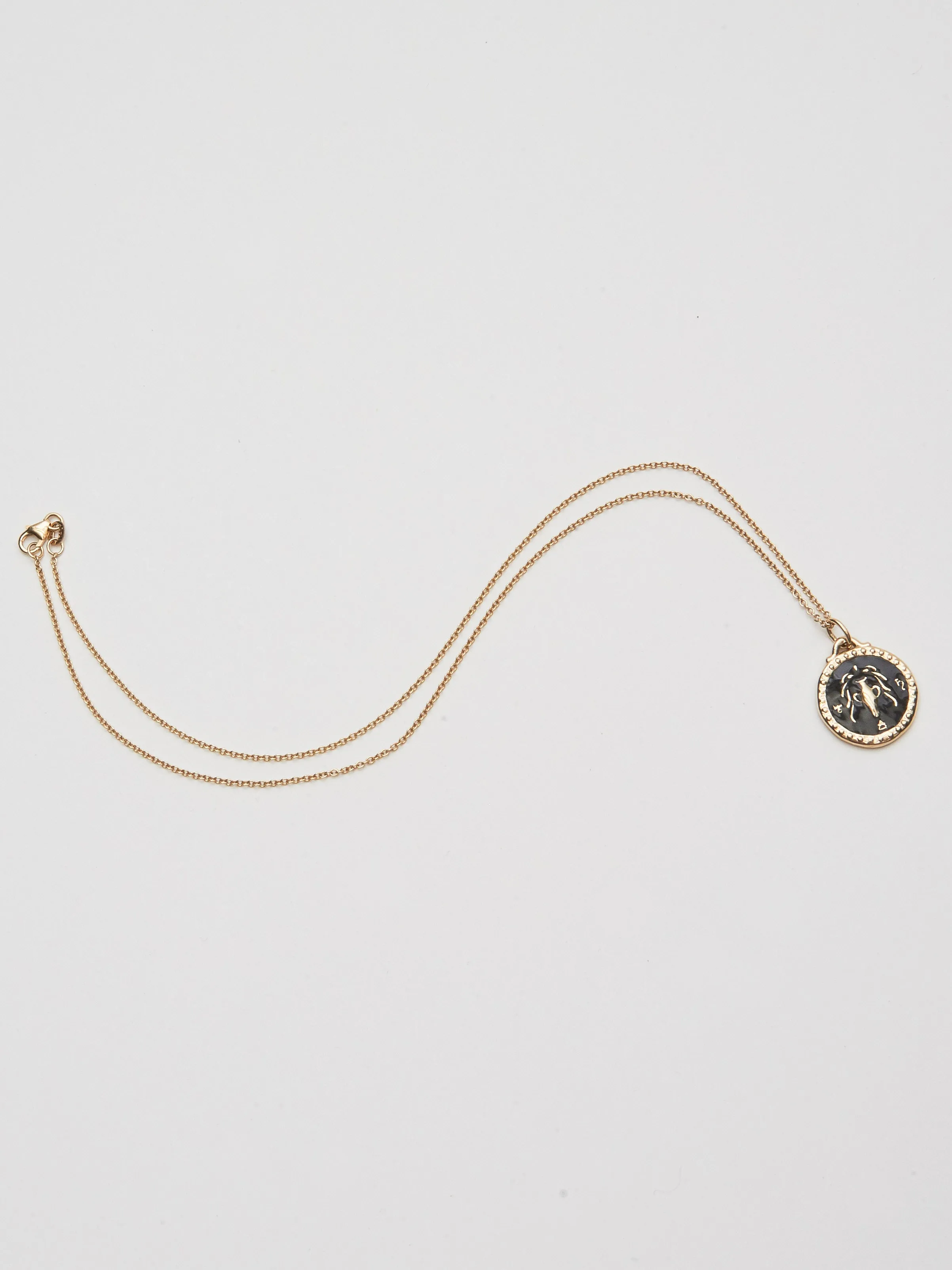Aquarius Pendant - Black Enamel