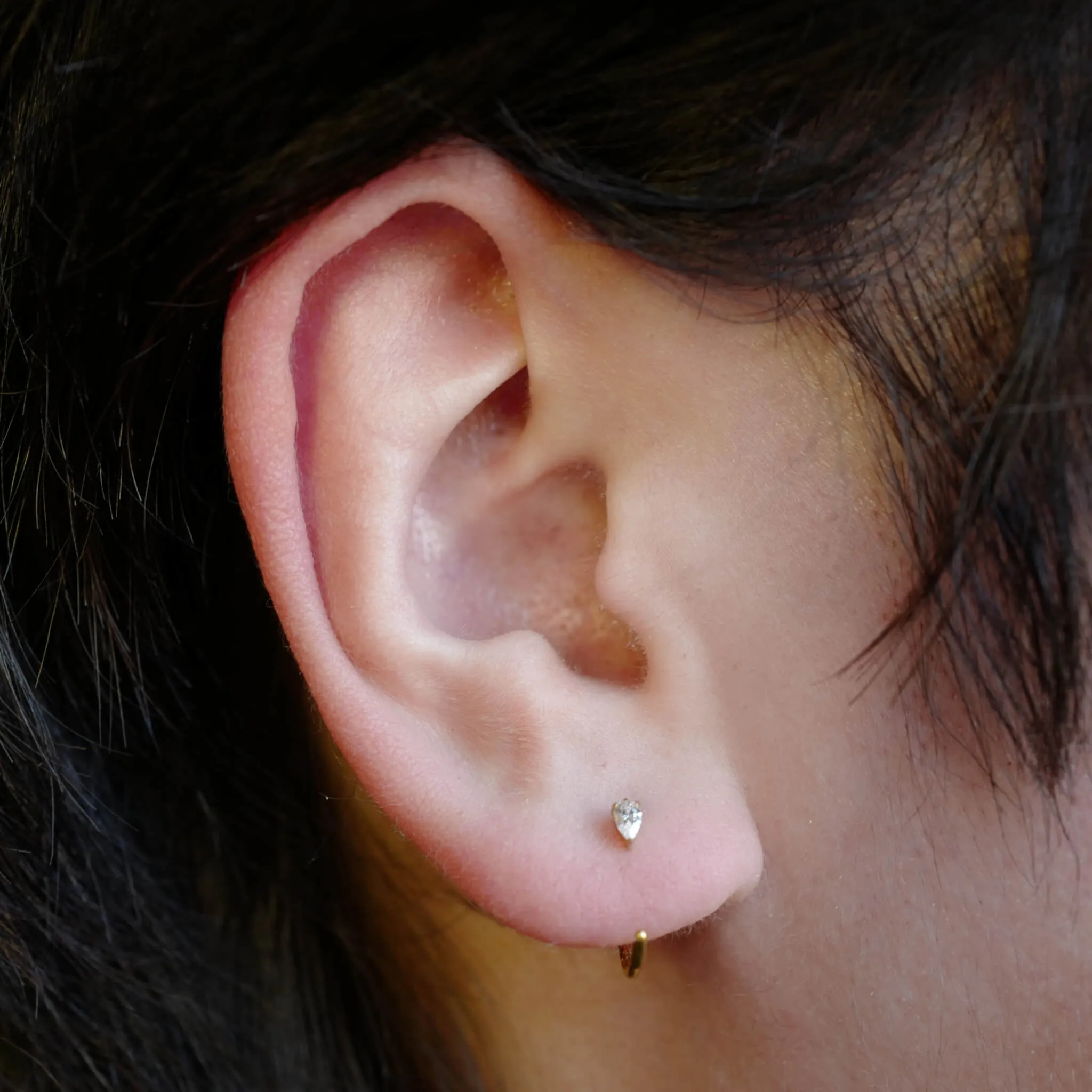 Dewdrop Huggie Earrings in Titanium