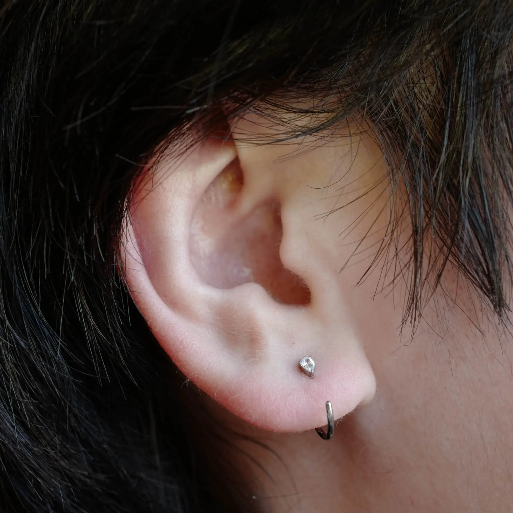 Dewdrop Huggie Earrings in Titanium