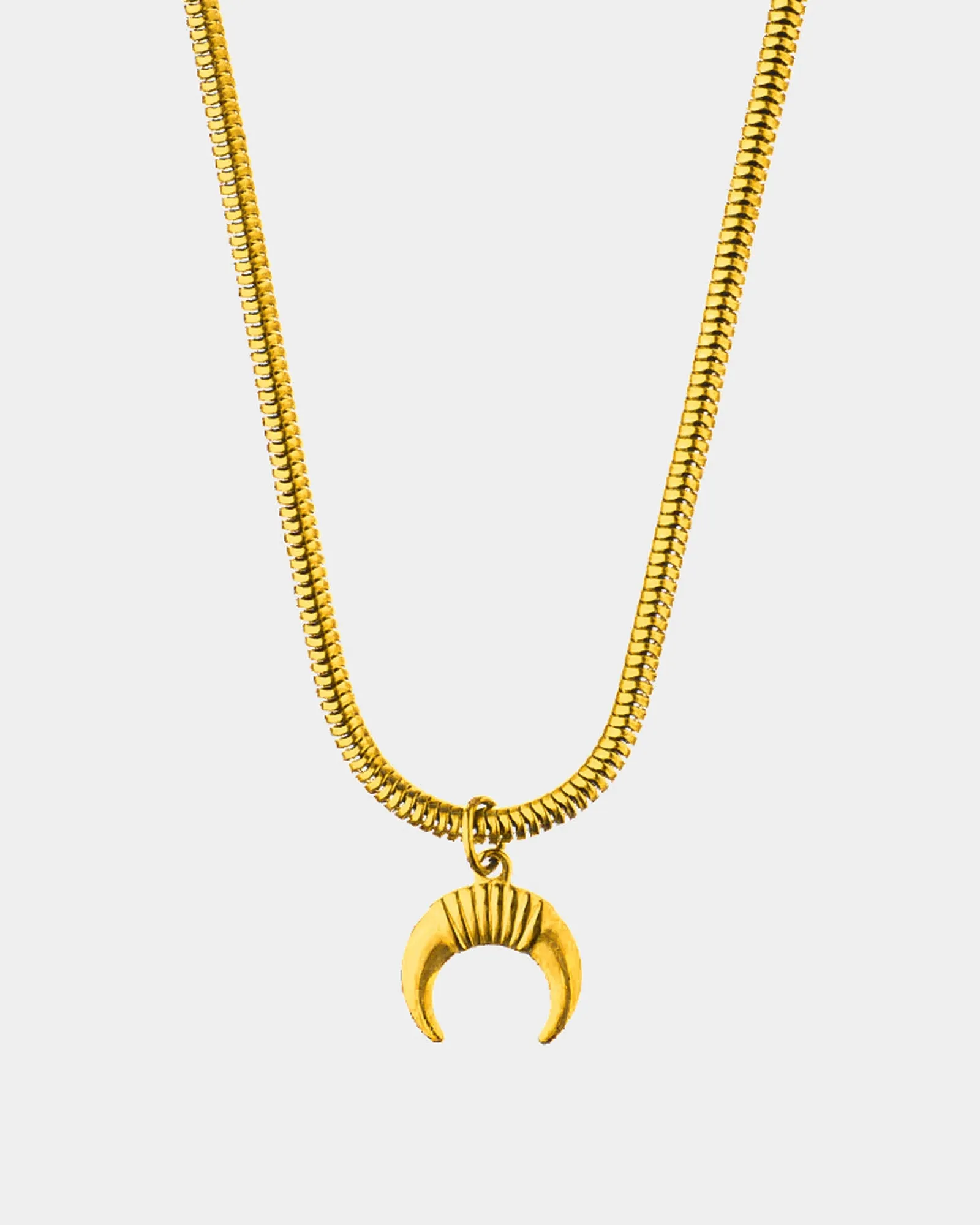 Horns Necklace