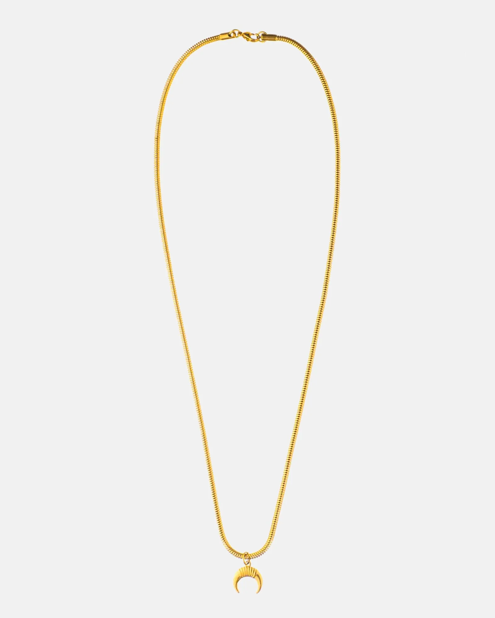 Horns Necklace