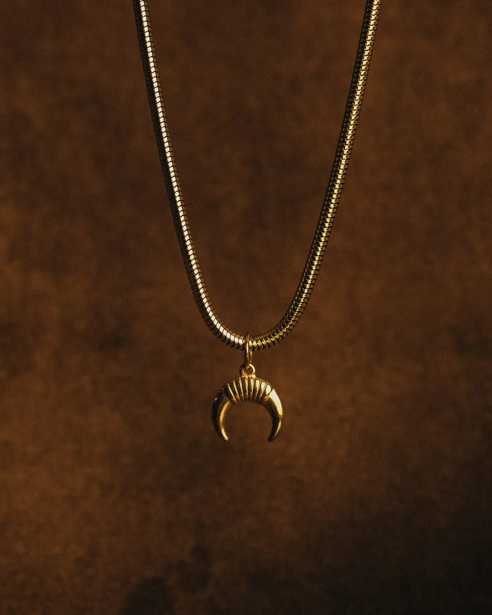 Horns Necklace