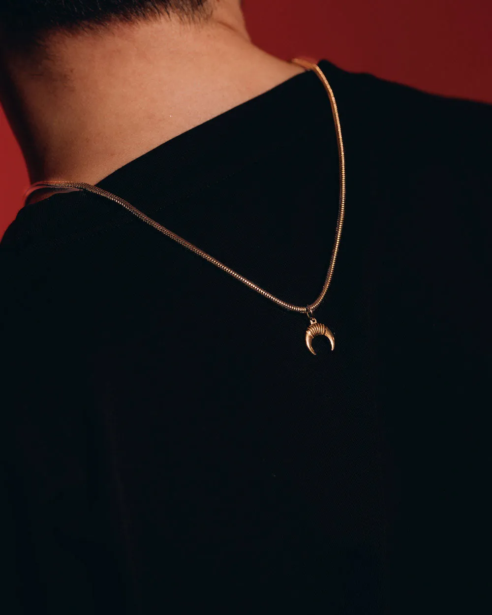 Horns Necklace