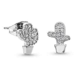 Montana Ear Rings Tiny But Tough Cactus