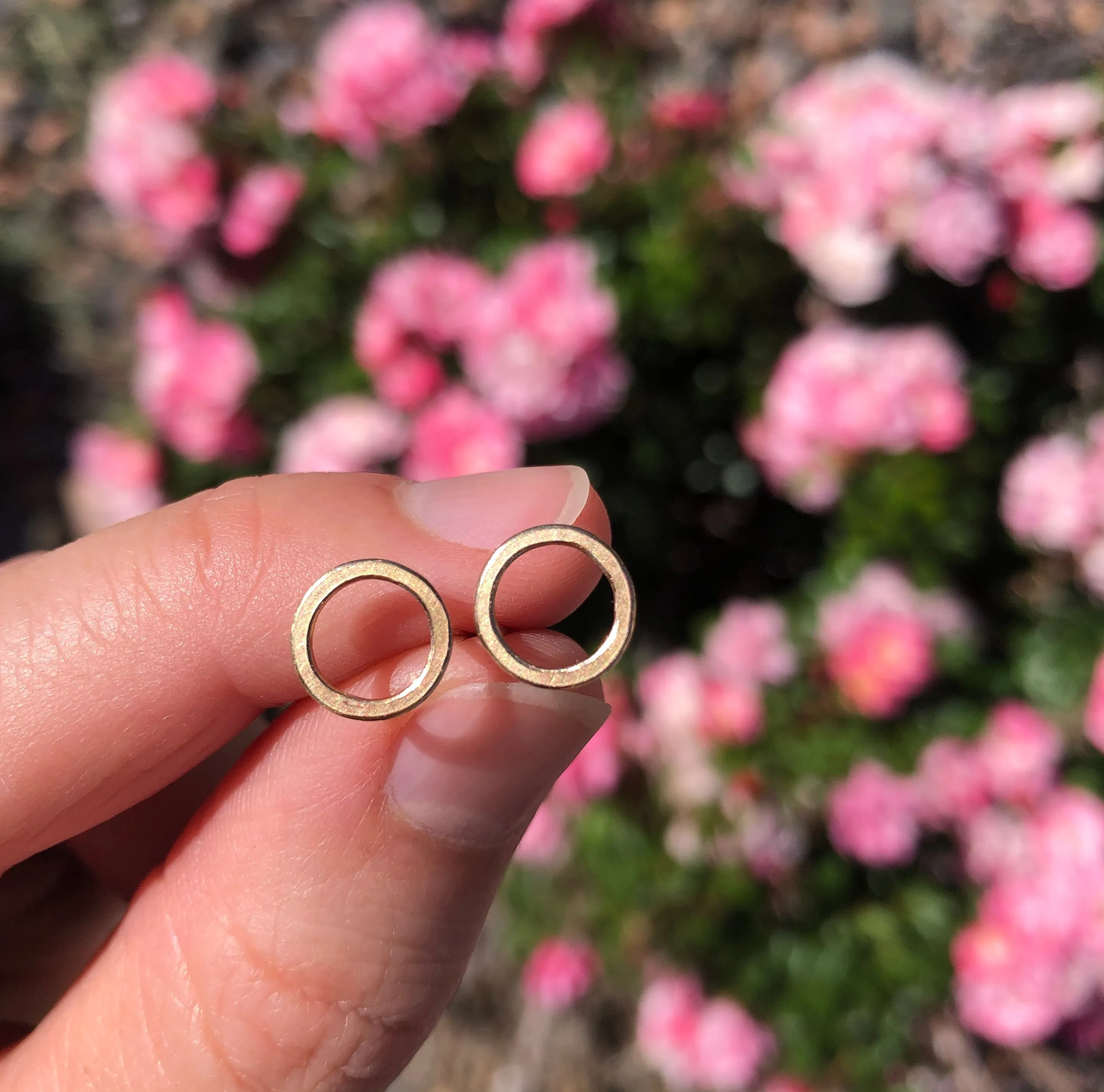 Small circle earrings, 10k gold