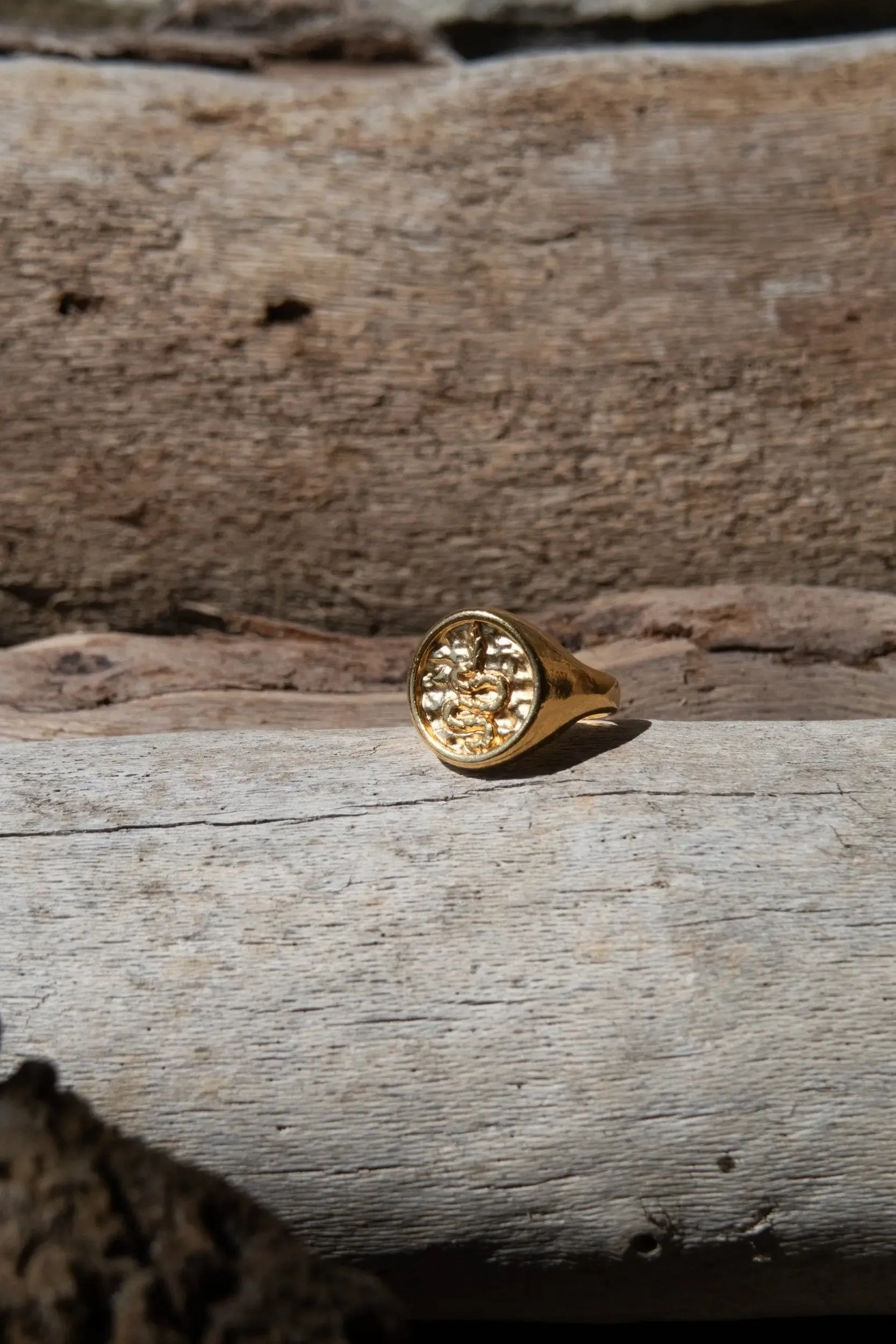 Snake Stamp Coin ring