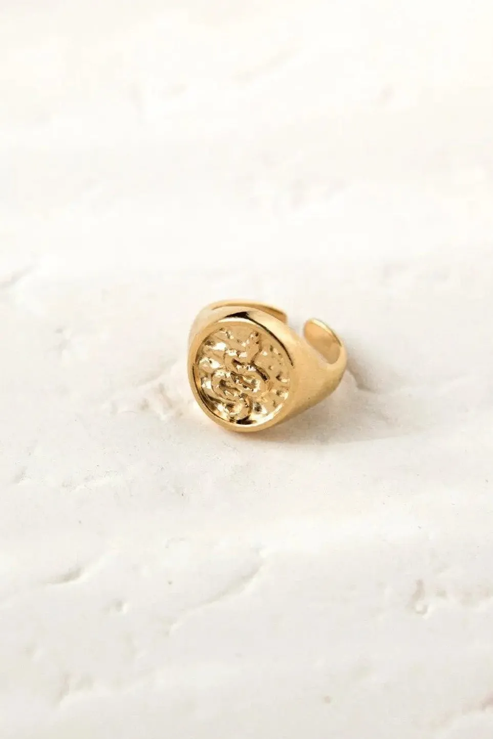 Snake Stamp Coin ring