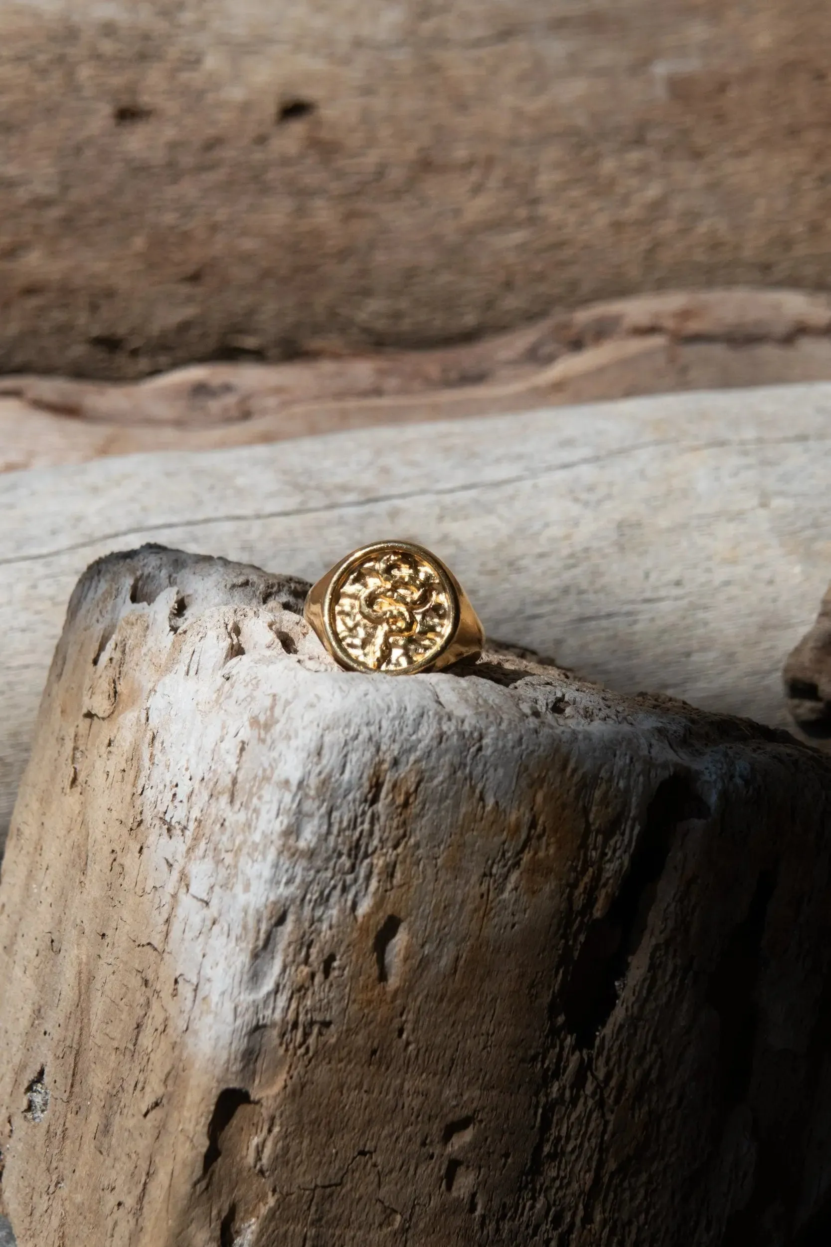 Snake Stamp Coin ring