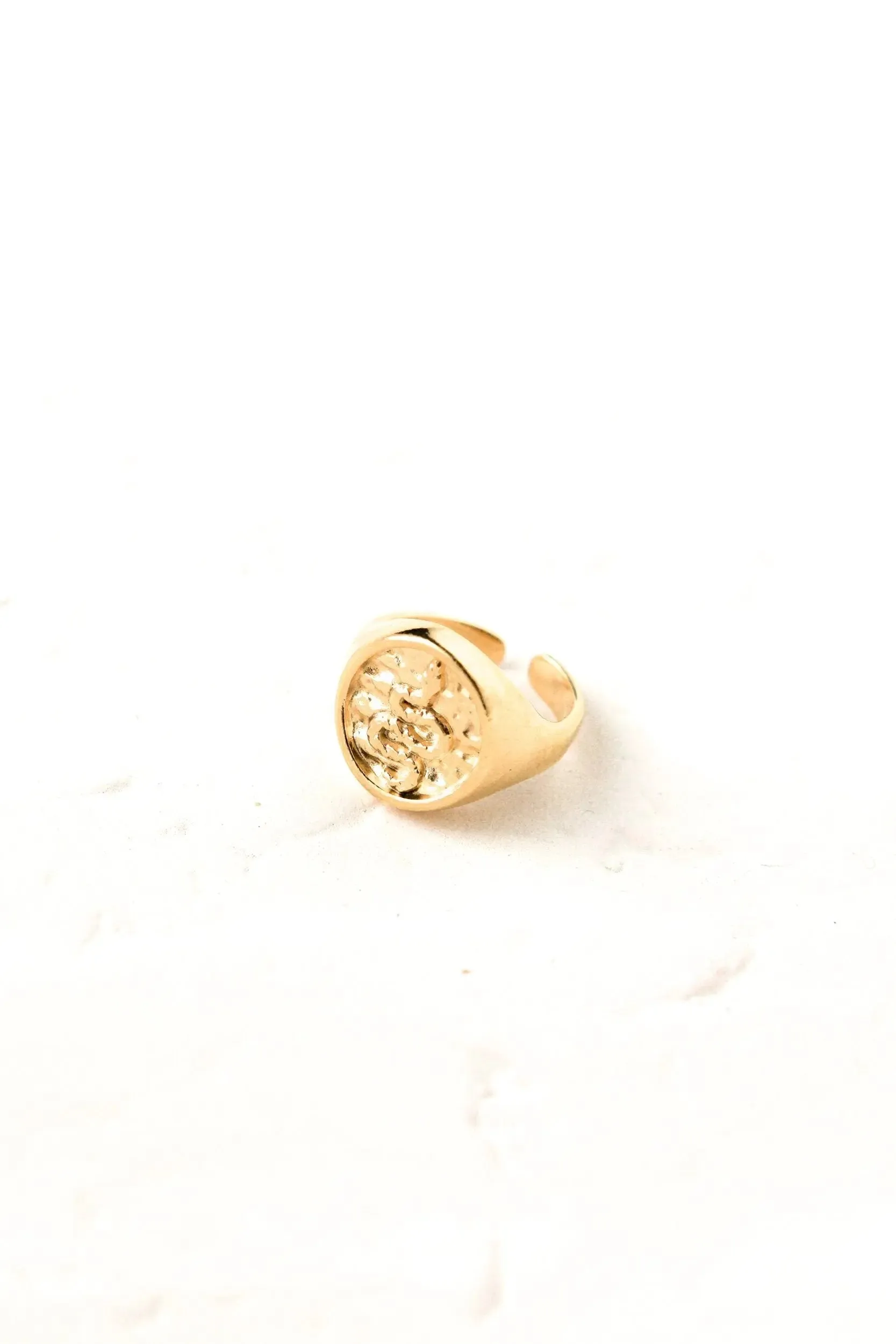 Snake Stamp Coin ring