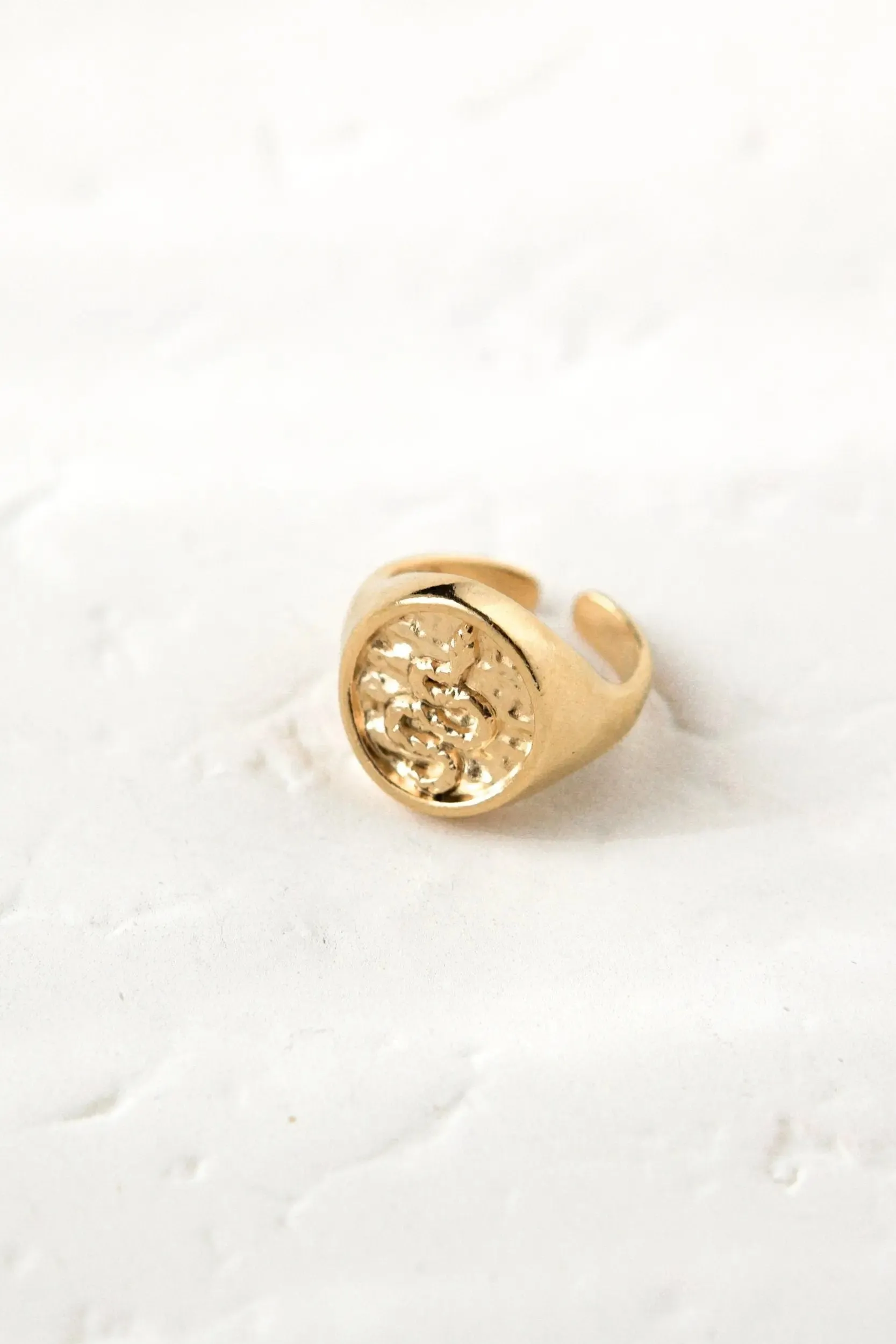 Snake Stamp Coin ring