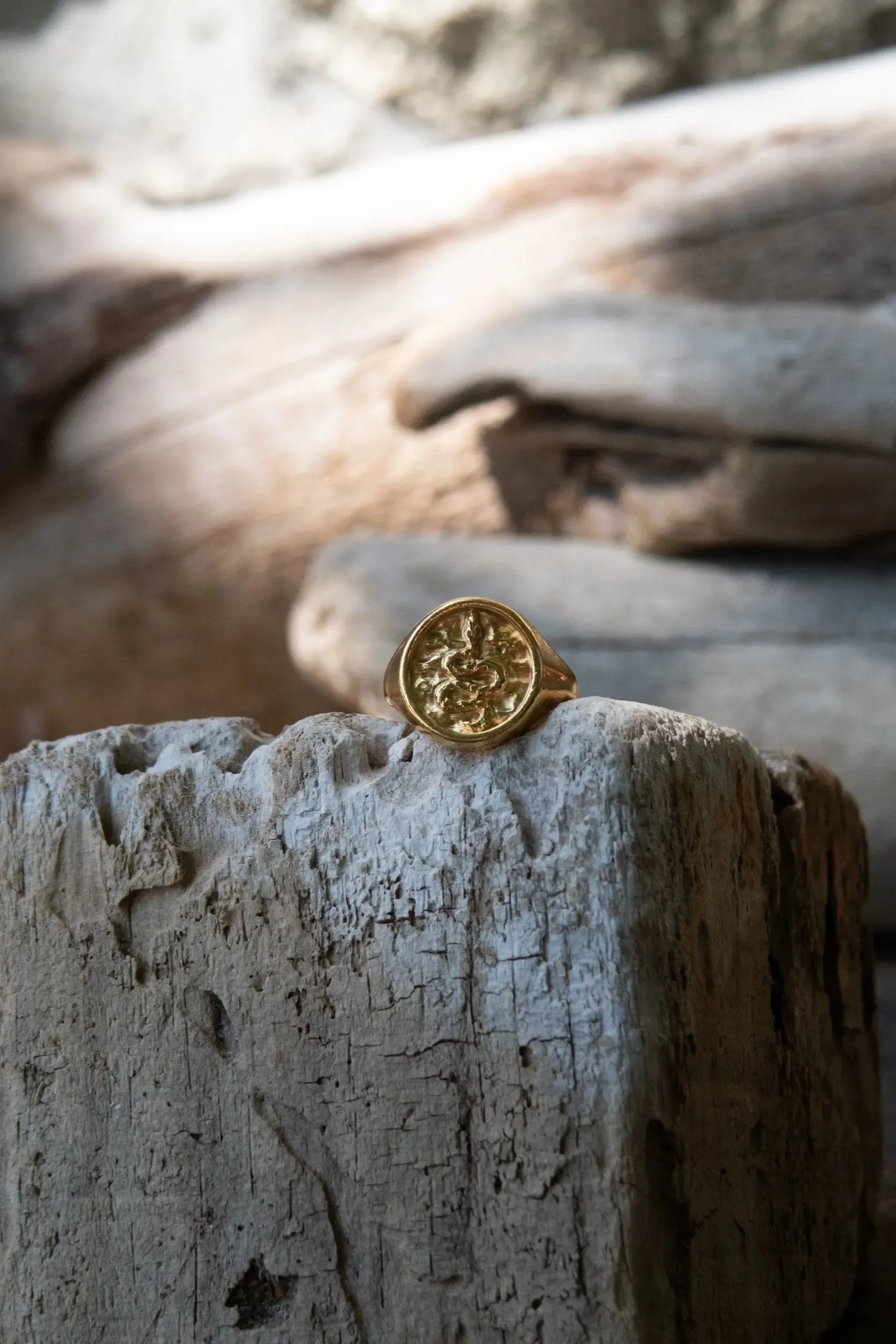 Snake Stamp Coin ring